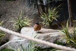 DSC_9206.JPG